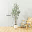 Arbre d'olivier artificiel d'intérieur 6 pi avec pot blanc pour la décoration intérieure et les cadeaux-1001774154
