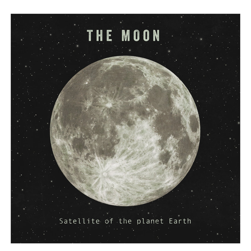 The Moon by Terry Fan - Wrapped Canvas Print, 45.72 cm H x 45.72 cm W x 1.91 cm D