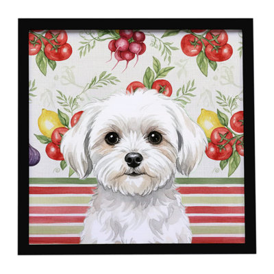 Maltese Vegetables Framed Metal Print