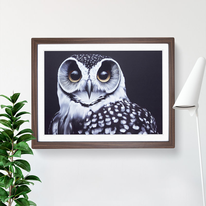 An Enigmatic Owl - Framed Print, Walnut, 34cm H x 46cm W x 2cm D