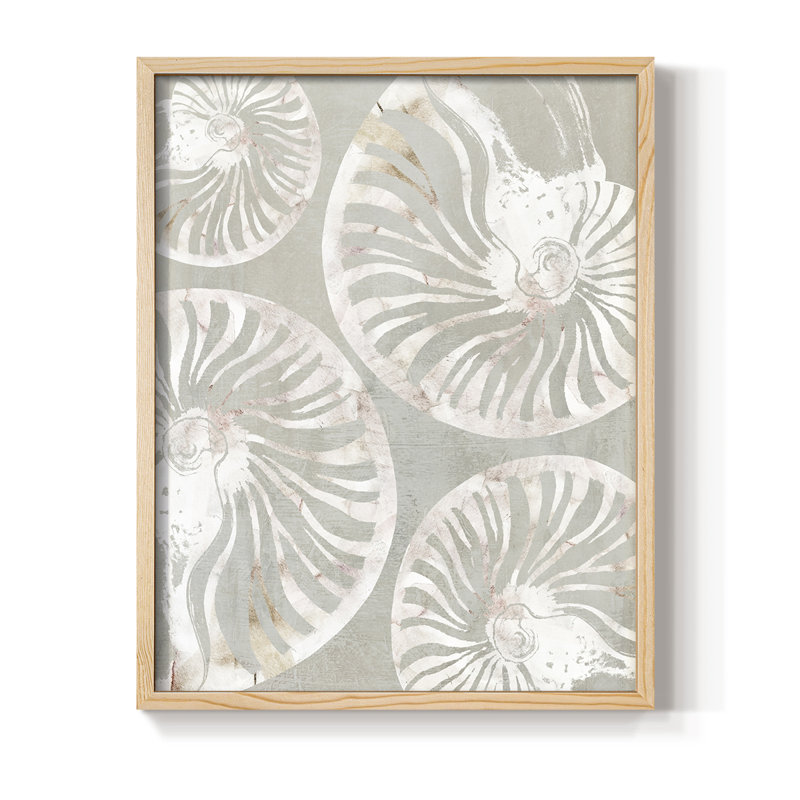 Nautilus Shell Collection, reproduction encadrée - bois massif, H 11 po x l 9 po, Naturel