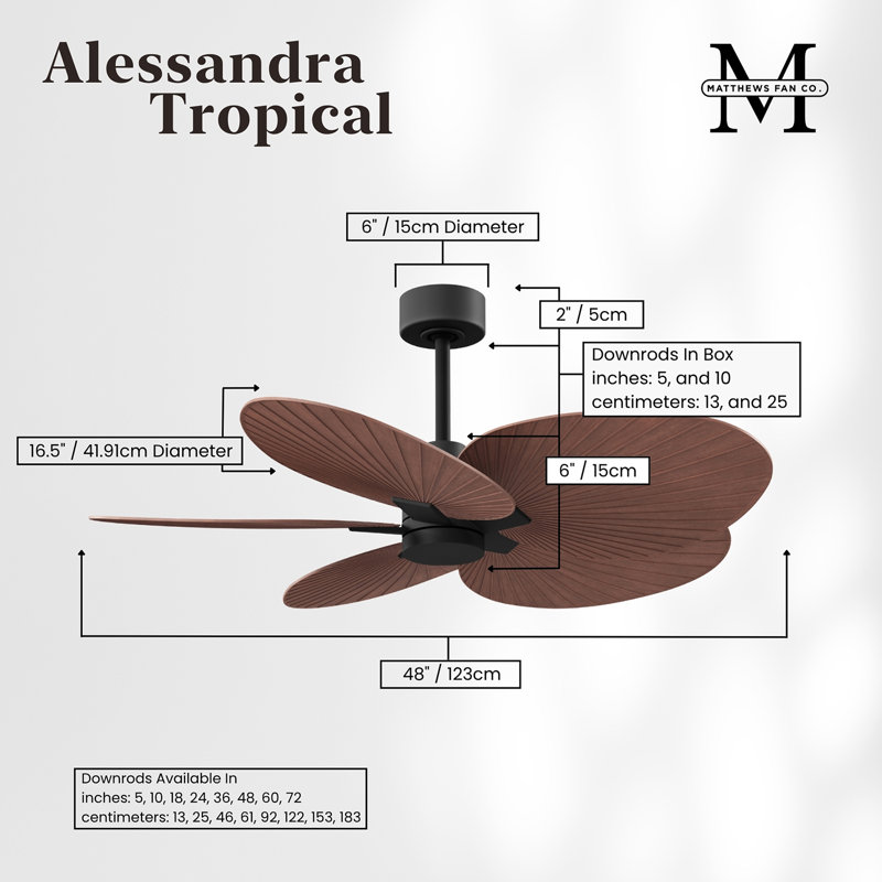 Alessandra - Five Blade Ceiling Fan, Matte Black, Walnut Tone