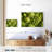 Fresh Romanesco Broccoli-1432844816