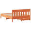 Storage Bed-1199232435-1199232445