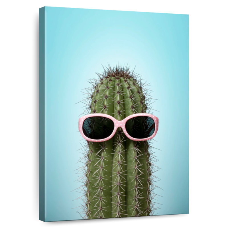 Cactus Harnek avec lunettes de soleil, H 24 po x l 16 po