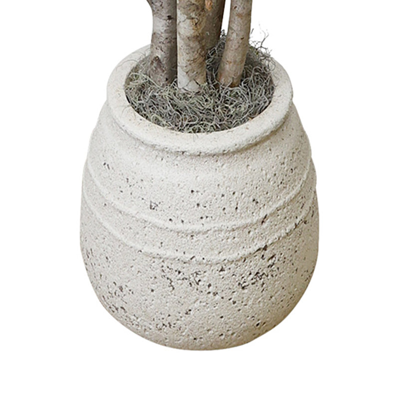 Magnolia Tree in Stone Pot