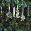 Seahorse Ornament