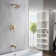 Dual Function Concealed Mixer Showers with Rough in-Valve