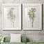 «Farmhouse Pressed Flower I», ensemble de 2 impressions-1472801473-1472801500