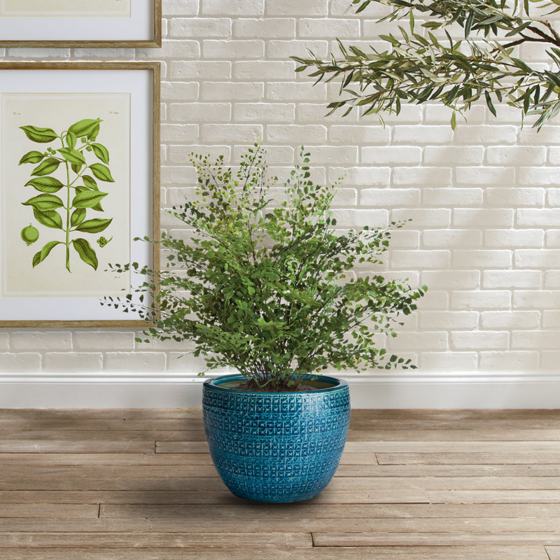 Blue Ceramic Pot Planter, Blue
