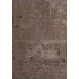Rapture Area Rug in Brown