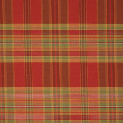 Allure Fabric