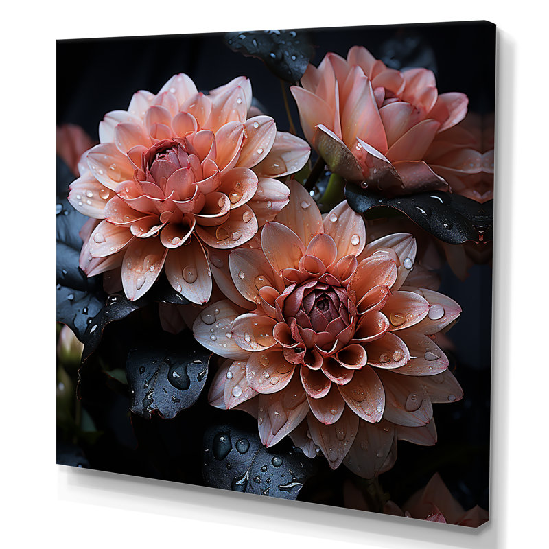 «Mums Noir Enchantment» sur toile, Toile tendue, H 30 po x l 30 po