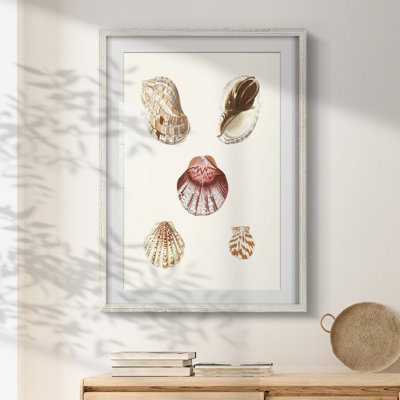 Kaul -Gallery Wrapped Canvas