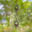 Chaîne de pluie Joycelene Sun Moon