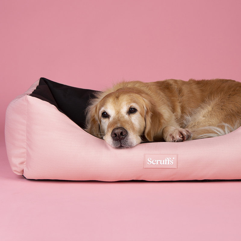 Polyester Pet Bed, Rose Quartz, 20cm H x 60cm W x 75cm D