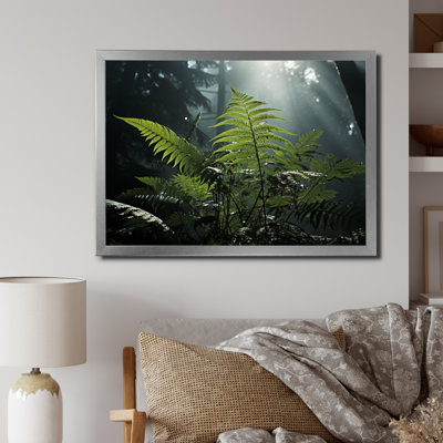 Ferns Close up Photo VII - Print