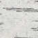 Nordin Hand-Knotted Wool/Cotton Area Rug in Light Grey