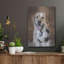 «Playtime» par Lori Deiter-1036925616