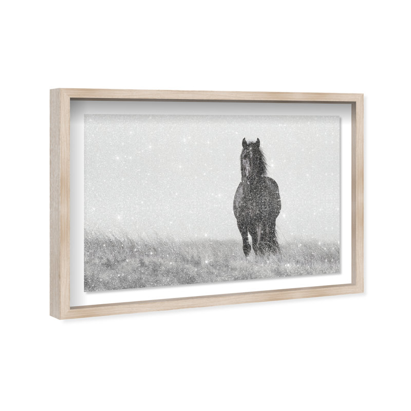 Lone Stallion I Print by Oliver Gal, 11.5" H x 16.5" W, Natural Oak Shadowbox