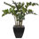 Faux ZZ Plant in Metal Pot