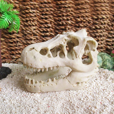 Ornements en forme de crâne de dinosaure en résine 6,75 x 4 x 3,75 pouces Fixturedisplays® pour aquarium, maison et bureau