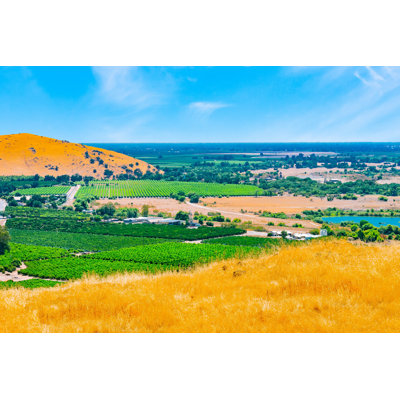 " San Joaquin Valley, " by Patricia Elaine Thomas
