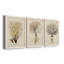 «Tincture I», ensemble de 3 peintures sur toile encadrées-202997361-202997372
