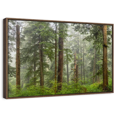 Panorama de la forêt sur la côte de l'Oregon