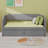 Velvet Upholstered Daybed With Pop Up Trundle-379249400