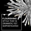 Vida 6 - Light Candle Style Classic Chandelier with Crystal Accents