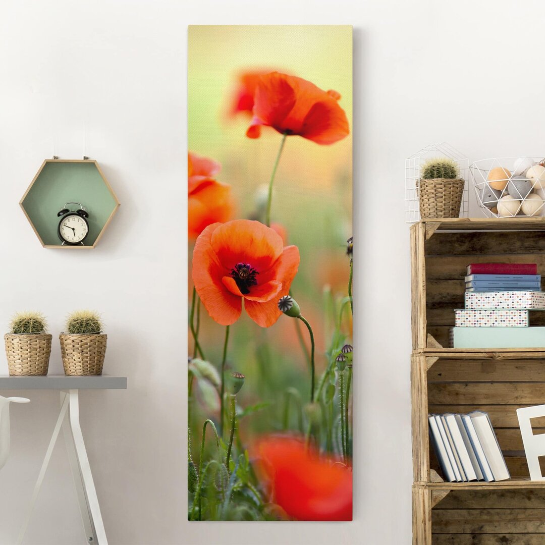 Leinwandbild Roter Sommermohn