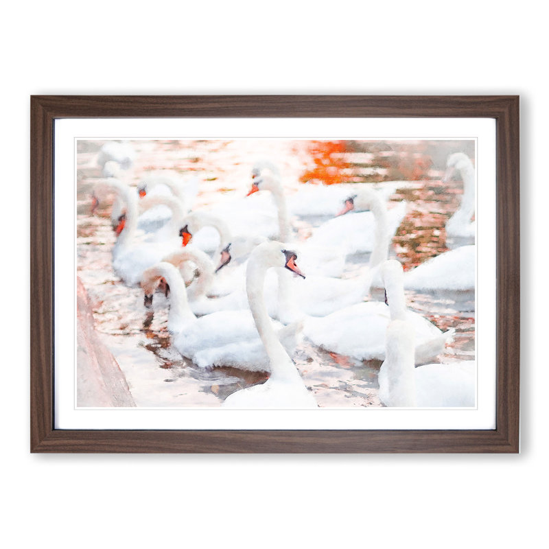 White Swans - Picture Frame Painting, 27cm H x 36cm W x 2cm D, Walnut Framed