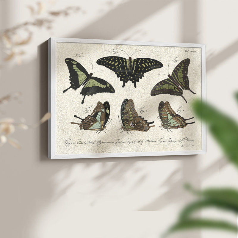 Crackled Butterflies II -Framed Print - Restickable, H 22 po x l 28 po, Blanc