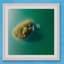 Single Picture Frame Print-120219176