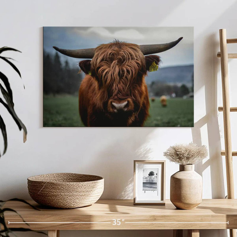 Brampt German Highland Cow, 16" H x 24" W