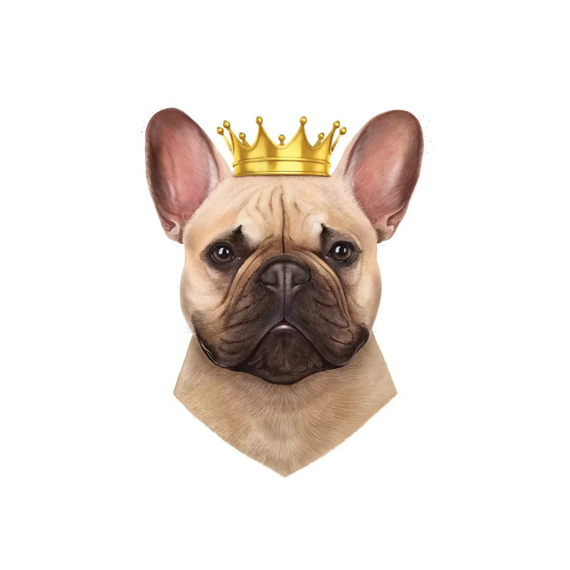 French Bulldog by Valeriya Korenkova - Wrapped Canvas Print, 66.04 cm H x 45.72 cm W