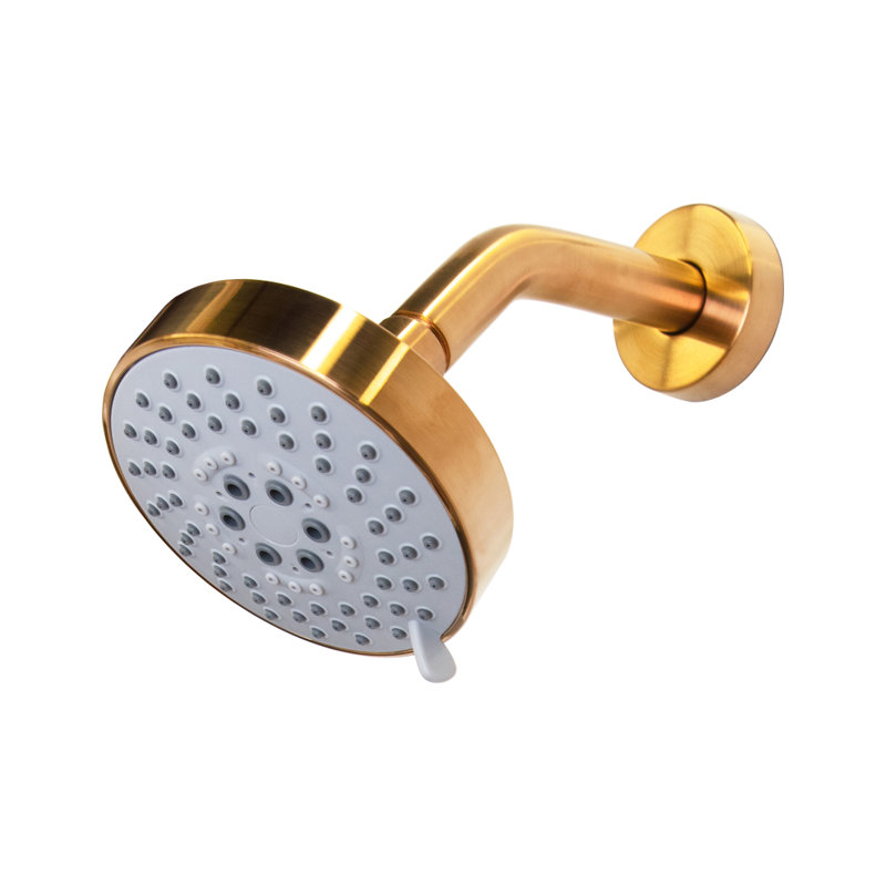 Cigno 0292 Wall Mount Abs Shower Head, Brushed Gold