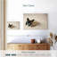 Papillon zen-107503184