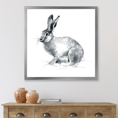 " Monochrome Portrait Of Rabbit "