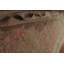 Saribel One-of-a-Kind Rectangle 9'5" X 12'3" Area Rug