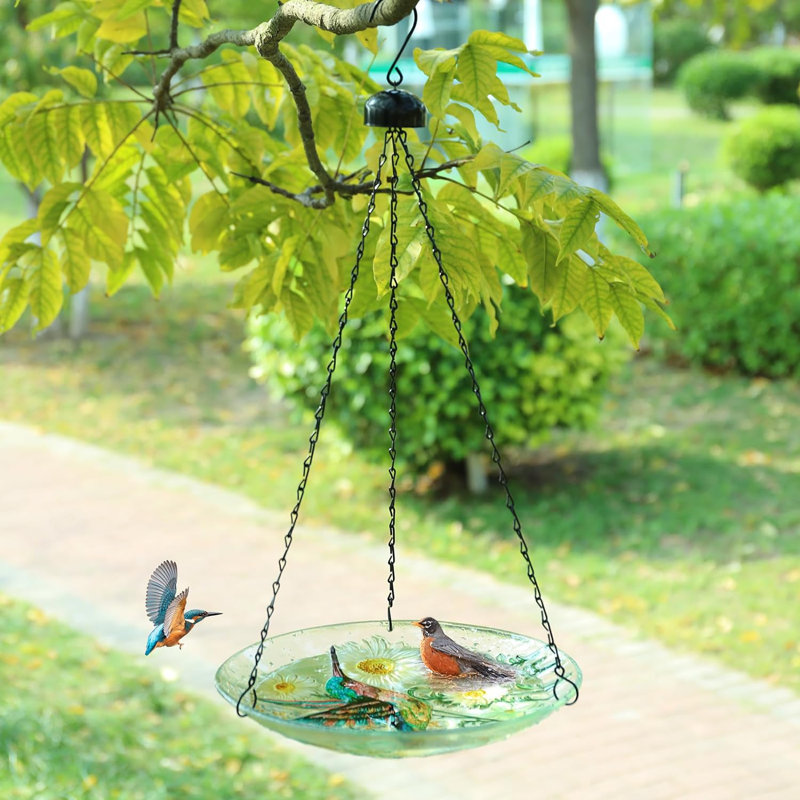 Bellen Glass Hanging Birdbath