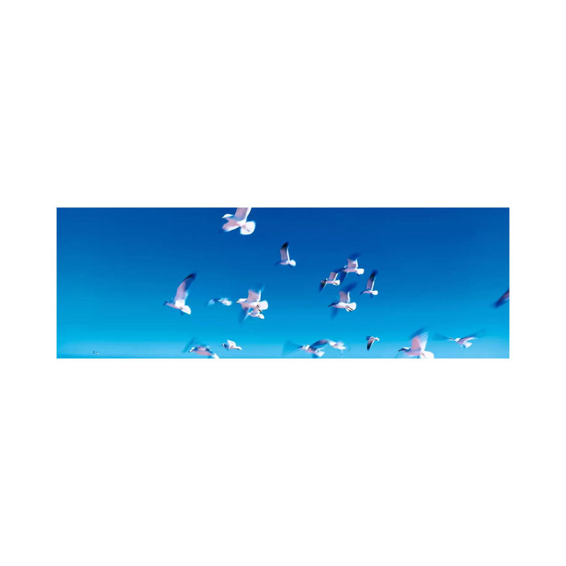 Birds In Flight Flagler Beach FL USA - Wrapped Canvas Panoramic Print, 182.88 cm H x 60.96 cm W