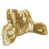 Amber Gold selected