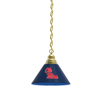 1 - Light Single Pendant