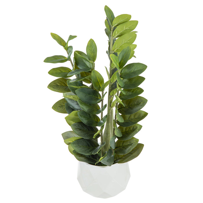 Artificial Plant