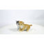 Chatons assis ensemble