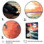 Coucher de soleil orange sur une plage audacieuse II - art mural plage-1341565142-1341565150