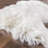 Wool Indoor Rug