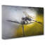 Dragonfly Upon A Thistle In Abstract - Wrapped Canvas Print-55314727